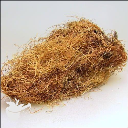 Mısır Püskülü (paketli)